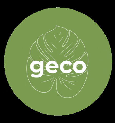 followthegeco GIF