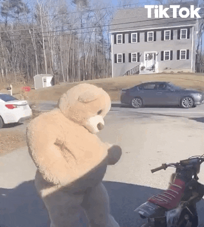 giphy.gif
