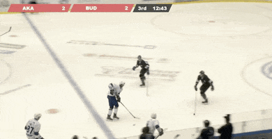 Univerzitní hokej GIF