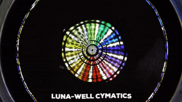 Cymatics GIF