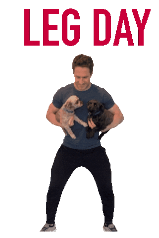 Suit Up Lets Go Sticker by Drive Clubs