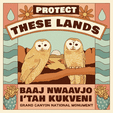 Protect these Lands - Baaj Nwaavjo I’tah Kukveni Grand Canyon National Monument