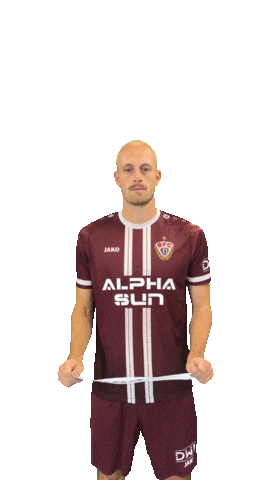 Celebration Goal Sticker by BFC Dynamo