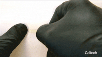 200.gif?cid=fc005b081fb6b660927b78f6ff44e31f18b75226d035f8f1&rid=200.gif&ct=g