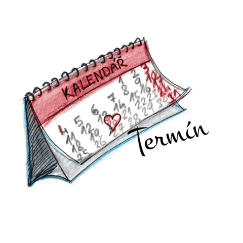 BUDE NÁS VÍC Sticker