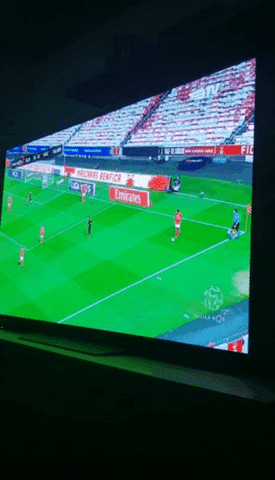 Benfica GIF