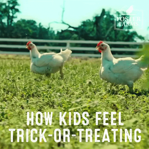 Trick Or Treat Halloween GIF by Foster Farms