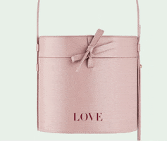 Bag Lunch GIF by Josefinas