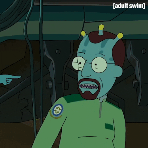 Season 2 Episode 3 GIF by Rick and Morty