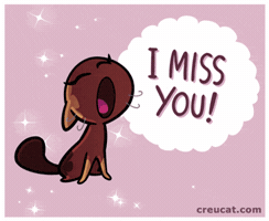 Cat GIF