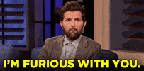Celebrity gif. Adam Scott says casually and stoically, "I'm furious with you."