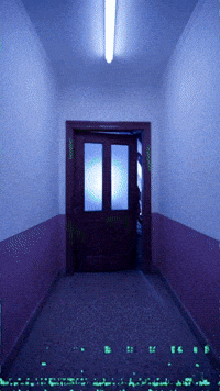 Human