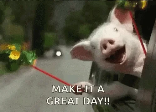 Great Day GIF by memecandy