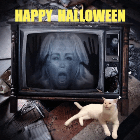 Halloween GIF