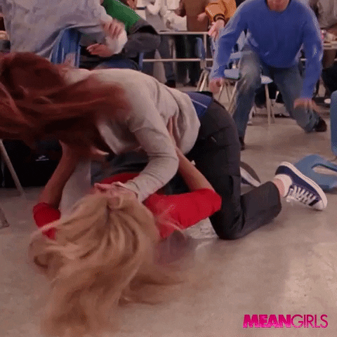 Fight GIF by Mean Girls