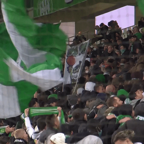 Fans Angels GIF by AS Saint-Étienne