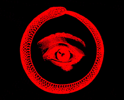 Eye Snake GIF by DB&BAR
