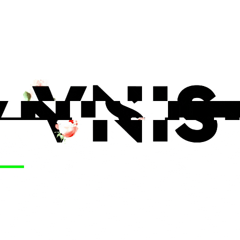 VNIS GIF