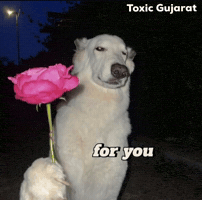 For You GIF