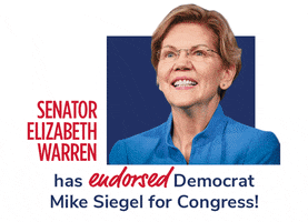 Team Mike Siegel GIF