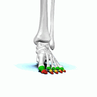 foot GIF