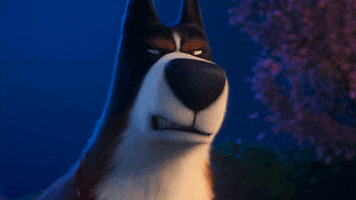 Mad Movie GIF by The Secret Life Of Pets