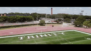 Football Field GIF by Trinity University