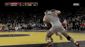 mustache  GIF