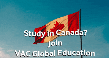 Study In Canada GIF