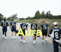Chicago Bears Nfl GIF