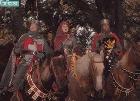 Robin Hood GIF by Turner Classic Movies