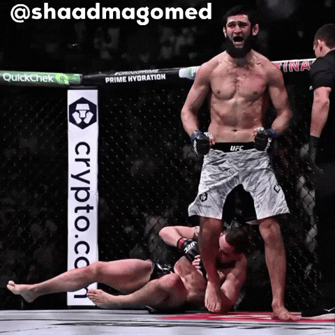 Khamzat Chimaev GIF