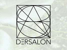 DERSALON GIF