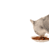 Atasehir Mama Sticker