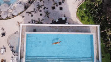 Luxury Hotel Pool GIF by PalladiumHotelGroup