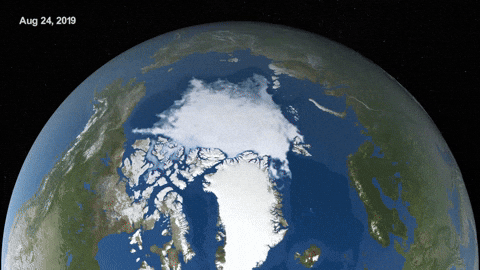 💾"2023: Un Anno di Record e Riflessioni sul Cambiamento Climatico"