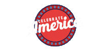 America Destiny Sticker by Love Our City