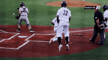 200.gif?cid=fc005b0855af2db88fbb1ae1b5db18700b4e41ed2724e810&rid=200.gif&ct=g