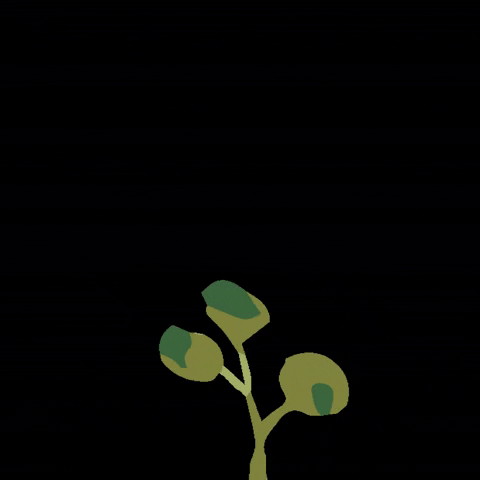Grow Flower Power GIF