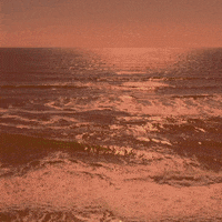 Outer Banks Netflix GIF by Originals