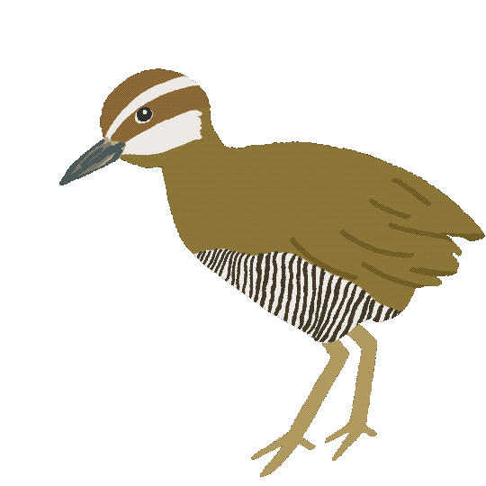 HARE KARE LLC Sticker