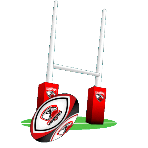 Conversion Rugbyteam Sticker by Caranchos Rugby