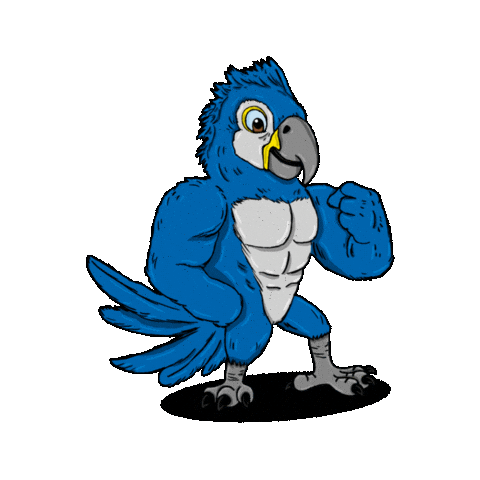 Grupo Agility Sticker