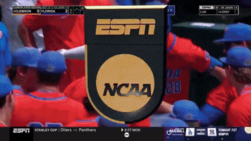 Florida Gators GIF