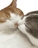 Kisses Love GIF by Alissandra