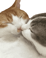 200.gif?cid=f0bdee70y804oiaeib6nmjkpp4bppn3v5pxm5bnaau13ncaa&rid=200.gif&ct=g