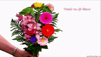 Birthday Flowers GIF by echilibrultau