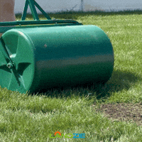 Lawn Lawncare GIF by Joe