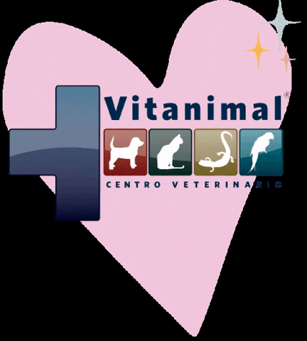 Vitanimal GIF