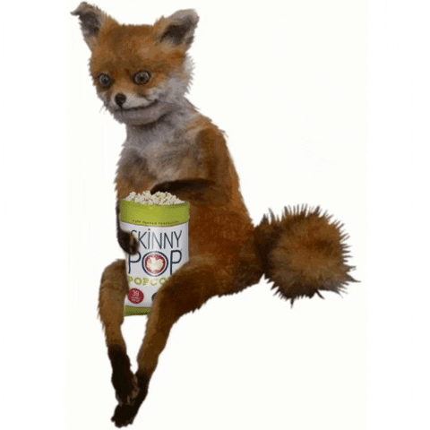 Ad gif. A creepy, taxidermy fox sits like a human and stares at us. The fox holds a Skinny Popcorn bag between one's legs. It continuously grabs a piece of popcorn and eats it. 